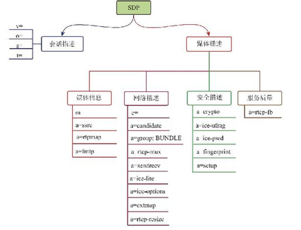 SDP信息